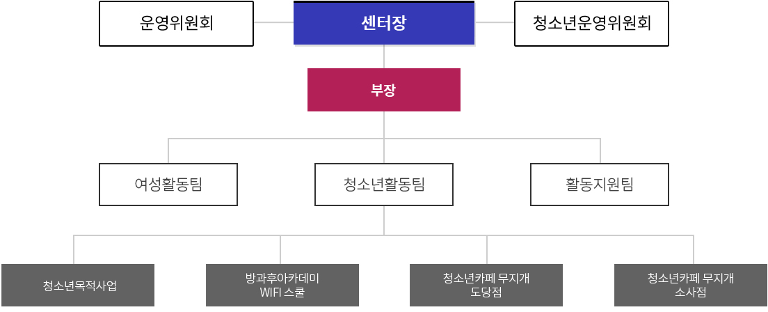 센터장 - 부장 - 여성활동팀, 청소년활동팀[방과후 아카데미 WIFI스쿨 청소년카페 무지개 (도당점/소사점)], 활동지원팀